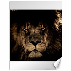 African Lion Mane Close Eyes Canvas 36  X 48   by BangZart