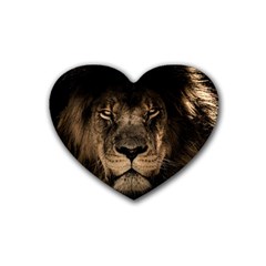 African Lion Mane Close Eyes Heart Coaster (4 Pack)  by BangZart