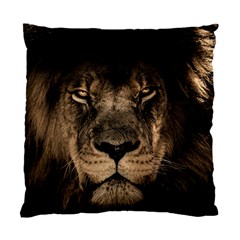 African Lion Mane Close Eyes Standard Cushion Case (one Side) by BangZart