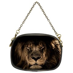 African Lion Mane Close Eyes Chain Purses (two Sides)  by BangZart