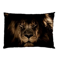 African Lion Mane Close Eyes Pillow Case by BangZart