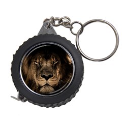 African Lion Mane Close Eyes Measuring Tape by BangZart