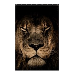 African Lion Mane Close Eyes Shower Curtain 48  X 72  (small)  by BangZart