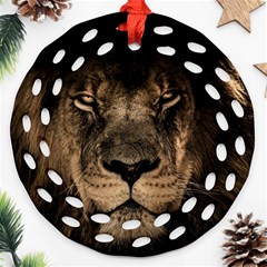 African Lion Mane Close Eyes Round Filigree Ornament (two Sides) by BangZart