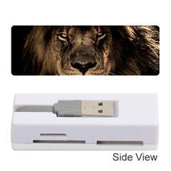 African Lion Mane Close Eyes Memory Card Reader (stick)  by BangZart