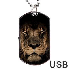 African Lion Mane Close Eyes Dog Tag Usb Flash (one Side) by BangZart