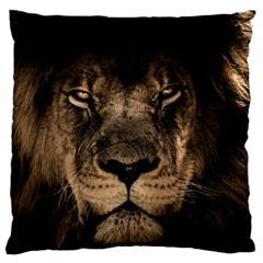 African Lion Mane Close Eyes Large Cushion Case (two Sides) by BangZart