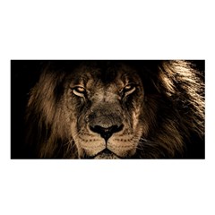 African Lion Mane Close Eyes Satin Shawl by BangZart