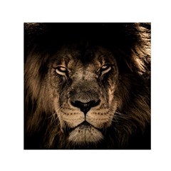 African Lion Mane Close Eyes Small Satin Scarf (square) by BangZart