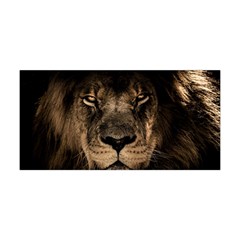 African Lion Mane Close Eyes Yoga Headband