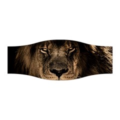 African Lion Mane Close Eyes Stretchable Headband by BangZart