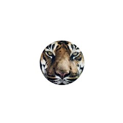 Tiger Bengal Stripes Eyes Close 1  Mini Buttons by BangZart