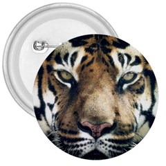 Tiger Bengal Stripes Eyes Close 3  Buttons by BangZart