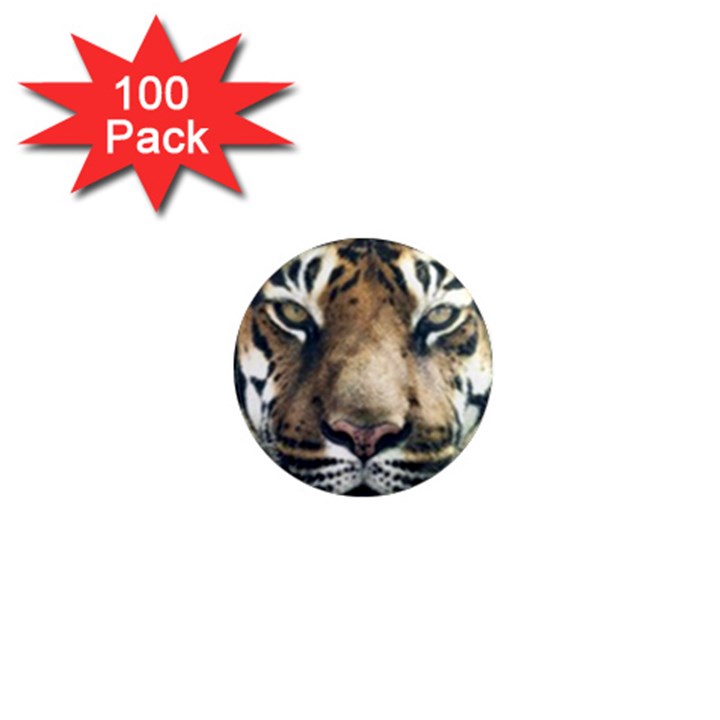 Tiger Bengal Stripes Eyes Close 1  Mini Magnets (100 pack) 