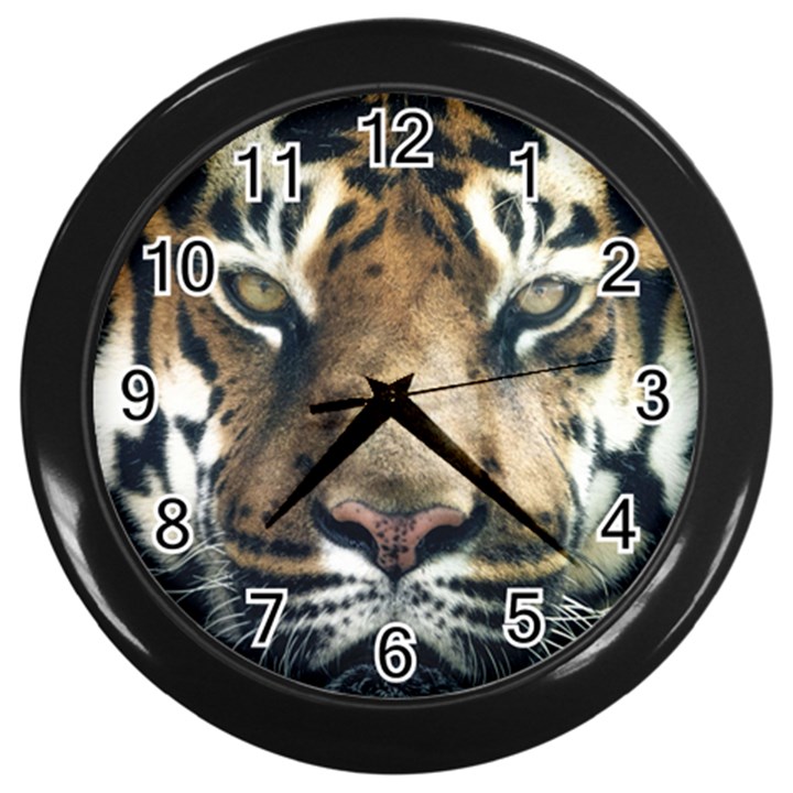 Tiger Bengal Stripes Eyes Close Wall Clocks (Black)