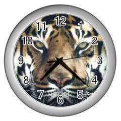 Tiger Bengal Stripes Eyes Close Wall Clocks (silver)  by BangZart