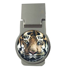 Tiger Bengal Stripes Eyes Close Money Clips (round)  by BangZart