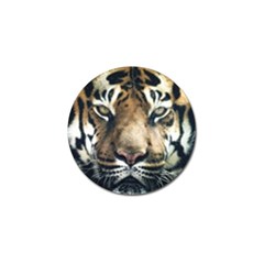 Tiger Bengal Stripes Eyes Close Golf Ball Marker (4 Pack) by BangZart