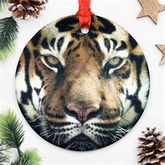 Tiger Bengal Stripes Eyes Close Round Ornament (two Sides) by BangZart