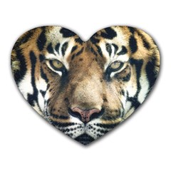 Tiger Bengal Stripes Eyes Close Heart Mousepads by BangZart