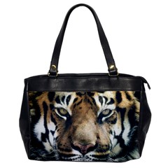 Tiger Bengal Stripes Eyes Close Office Handbags by BangZart