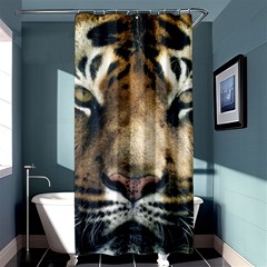 Tiger Bengal Stripes Eyes Close Shower Curtain 36  X 72  (stall)  by BangZart