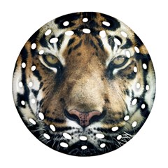 Tiger Bengal Stripes Eyes Close Round Filigree Ornament (two Sides) by BangZart