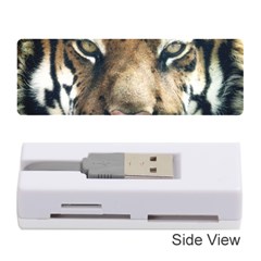 Tiger Bengal Stripes Eyes Close Memory Card Reader (stick)  by BangZart