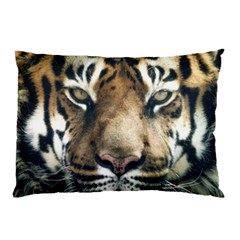 Tiger Bengal Stripes Eyes Close Pillow Case (two Sides) by BangZart