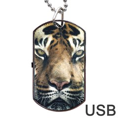 Tiger Bengal Stripes Eyes Close Dog Tag Usb Flash (two Sides) by BangZart