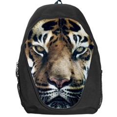 Tiger Bengal Stripes Eyes Close Backpack Bag by BangZart