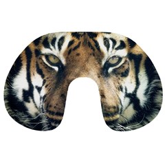 Tiger Bengal Stripes Eyes Close Travel Neck Pillows by BangZart