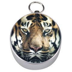 Tiger Bengal Stripes Eyes Close Silver Compasses by BangZart