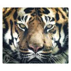 Tiger Bengal Stripes Eyes Close Double Sided Flano Blanket (small)  by BangZart