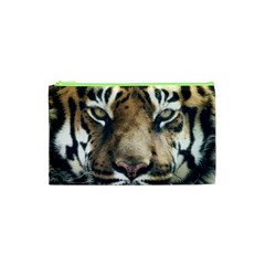 Tiger Bengal Stripes Eyes Close Cosmetic Bag (xs) by BangZart