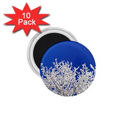 Crown Aesthetic Branches Hoarfrost 1 75  Magnets (10 Pack)  by BangZart