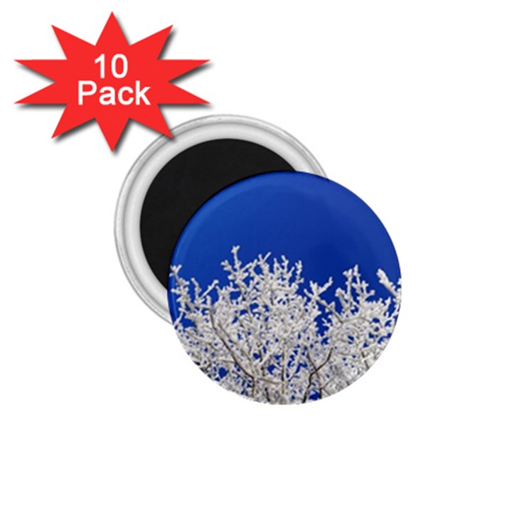 Crown Aesthetic Branches Hoarfrost 1.75  Magnets (10 pack) 