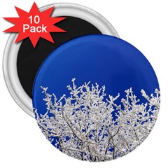 Crown Aesthetic Branches Hoarfrost 3  Magnets (10 Pack)  by BangZart