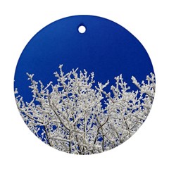 Crown Aesthetic Branches Hoarfrost Round Ornament (two Sides) by BangZart