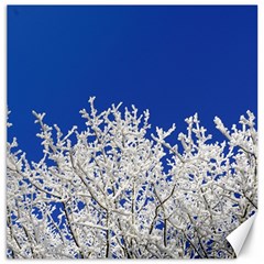 Crown Aesthetic Branches Hoarfrost Canvas 12  X 12   by BangZart