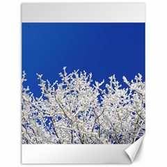 Crown Aesthetic Branches Hoarfrost Canvas 12  X 16   by BangZart