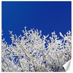 Crown Aesthetic Branches Hoarfrost Canvas 16  x 16   15.2 x15.41  Canvas - 1