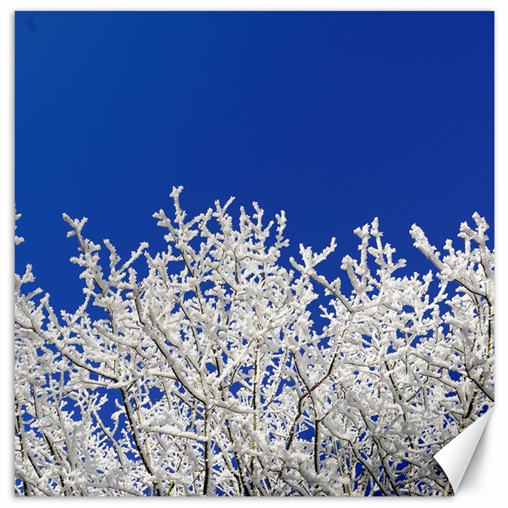 Crown Aesthetic Branches Hoarfrost Canvas 16  x 16  