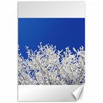 Crown Aesthetic Branches Hoarfrost Canvas 24  x 36  23.35 x34.74  Canvas - 1