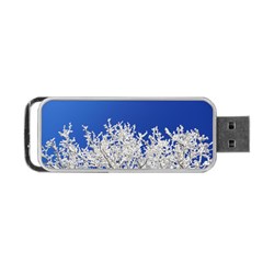 Crown Aesthetic Branches Hoarfrost Portable Usb Flash (one Side) by BangZart