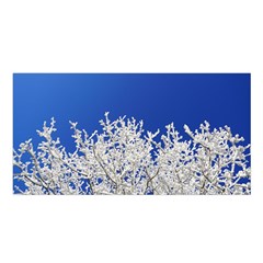 Crown Aesthetic Branches Hoarfrost Satin Shawl by BangZart