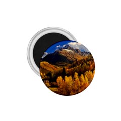 Colorado Fall Autumn Colorful 1 75  Magnets by BangZart