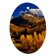 Colorado Fall Autumn Colorful Ornament (oval) by BangZart