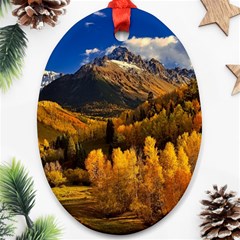 Colorado Fall Autumn Colorful Oval Ornament (two Sides) by BangZart