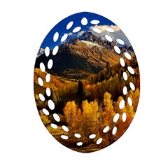 Colorado Fall Autumn Colorful Ornament (oval Filigree) by BangZart